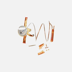 TRUE 813304 VALVE EXPANSION EBFSE-AAAZP, INLET STRAINER